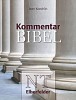 Kommentar Bibel (Säulen)